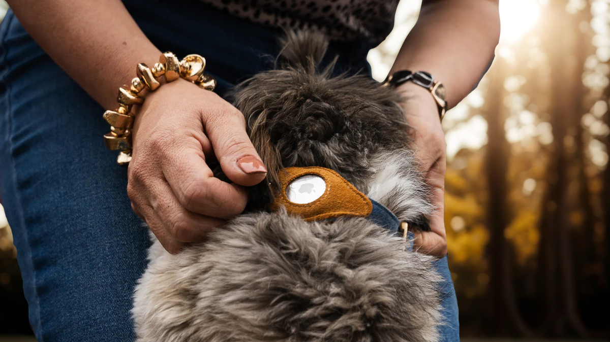 How to Use AirTag for Pet Safety: Keep Your Dog or Cat Safe