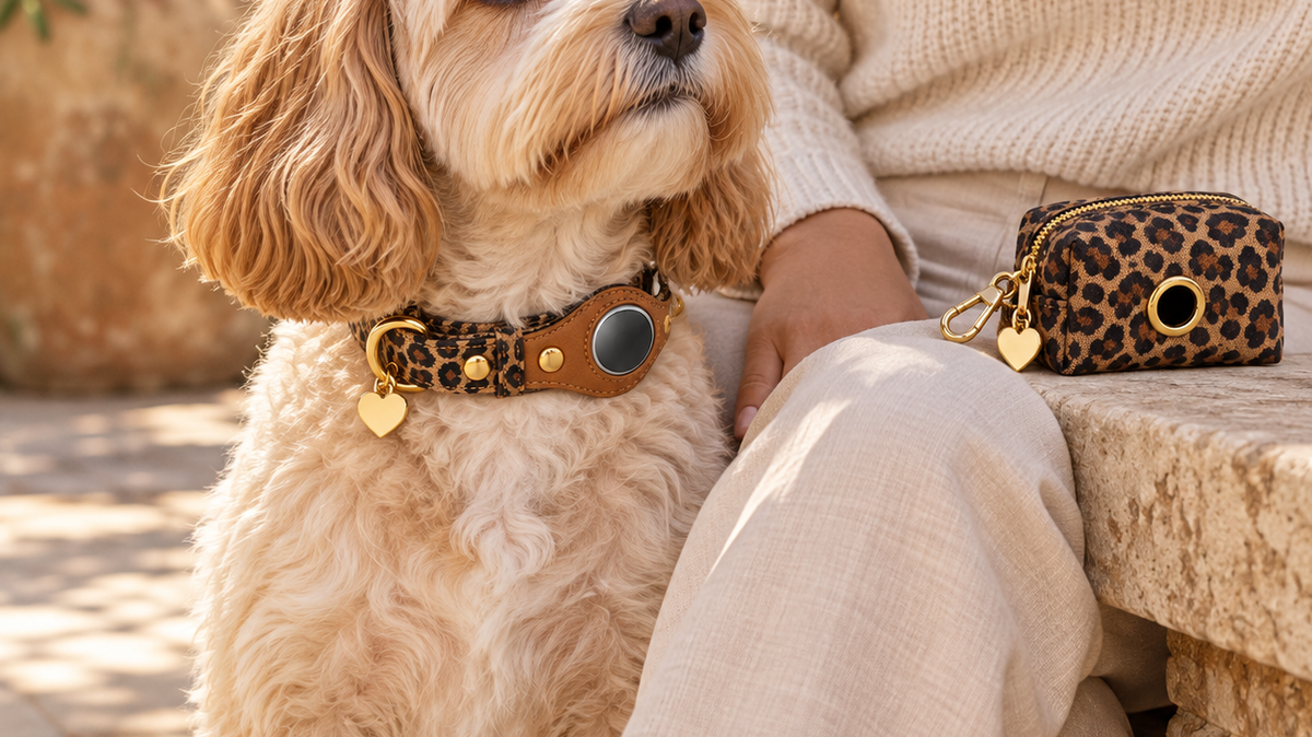 What Information Should Be on a Dog ID Tag?