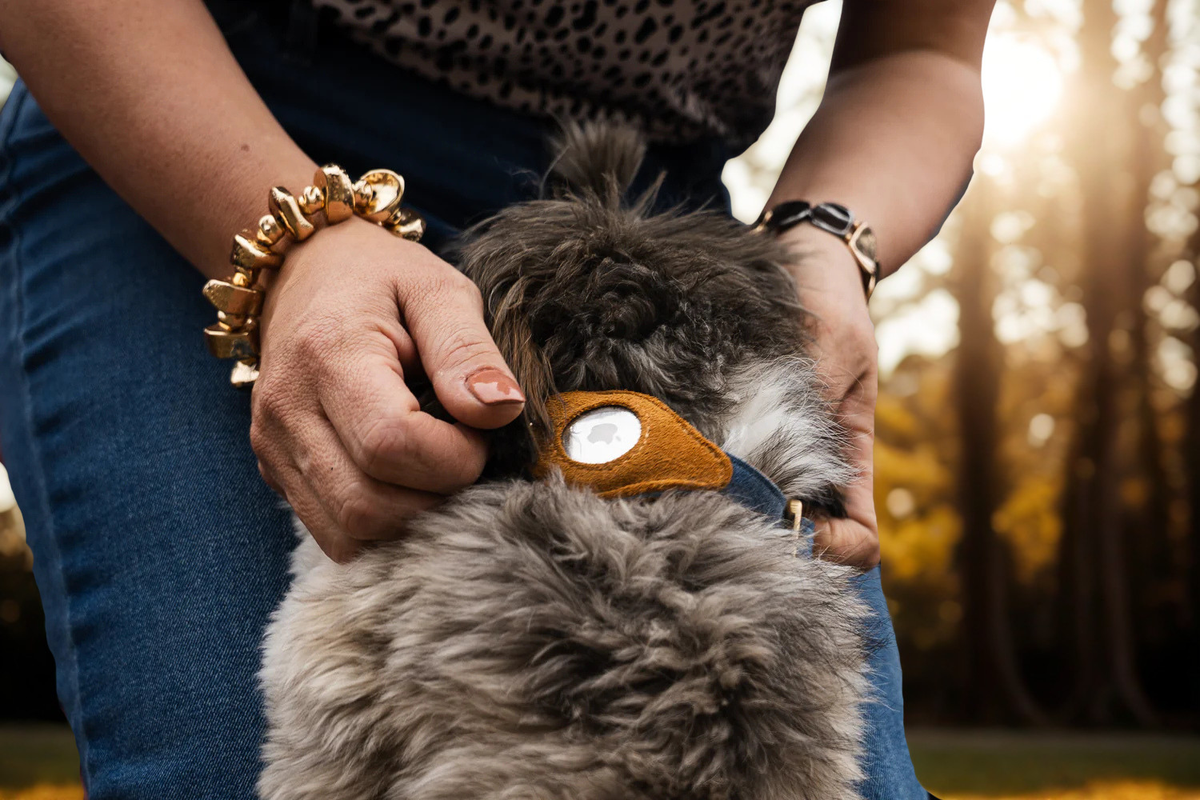 PET