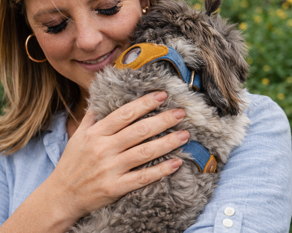 Heirloom Suede AirTag Dog Collar — Denim & Tan — product image 3