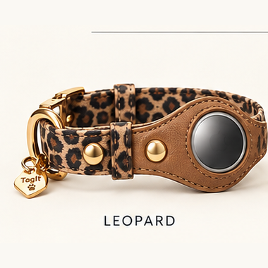 Heirloom AirTag Dog Collar in Leopard — all-groups