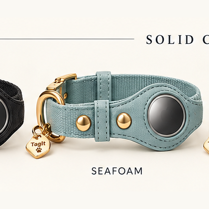 Heirloom AirTag Dog Collar in Seafoam — all-groups