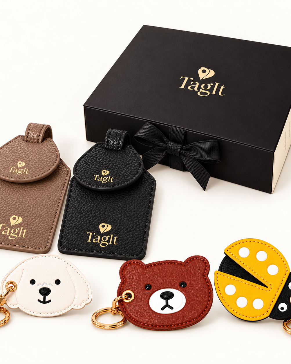 Family Passport Gift Set — complete contents and TagIt gift box — all-groups