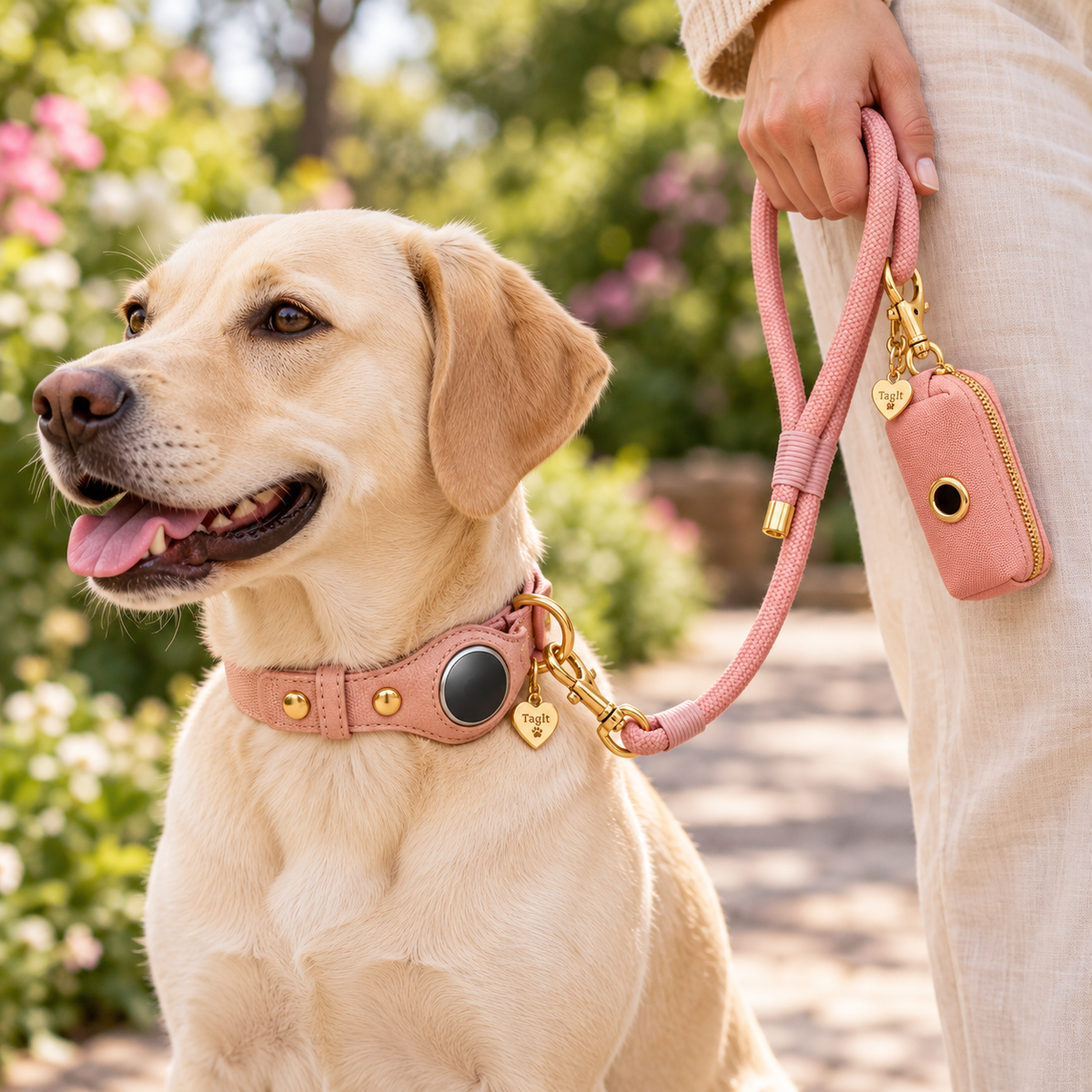 TagIt pet accessory — Blush lifestyle with coordinating collar, leash and holder; other accessories sold separately — all-groups