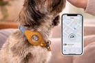 Heirloom Suede AirTag Dog Collar — Denim & Tan — product image 6