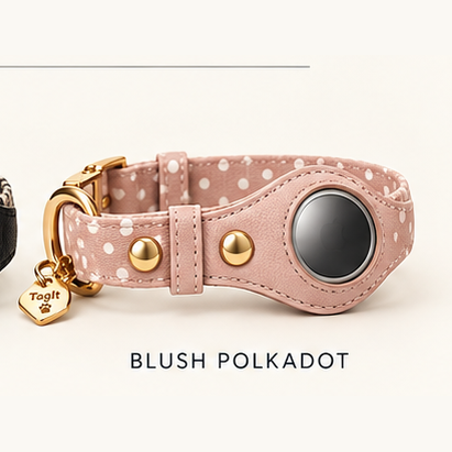 Heirloom AirTag Dog Collar in Blush Polkadot — all-groups