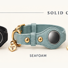 Heirloom AirTag Dog Collar in Seafoam — all-groups