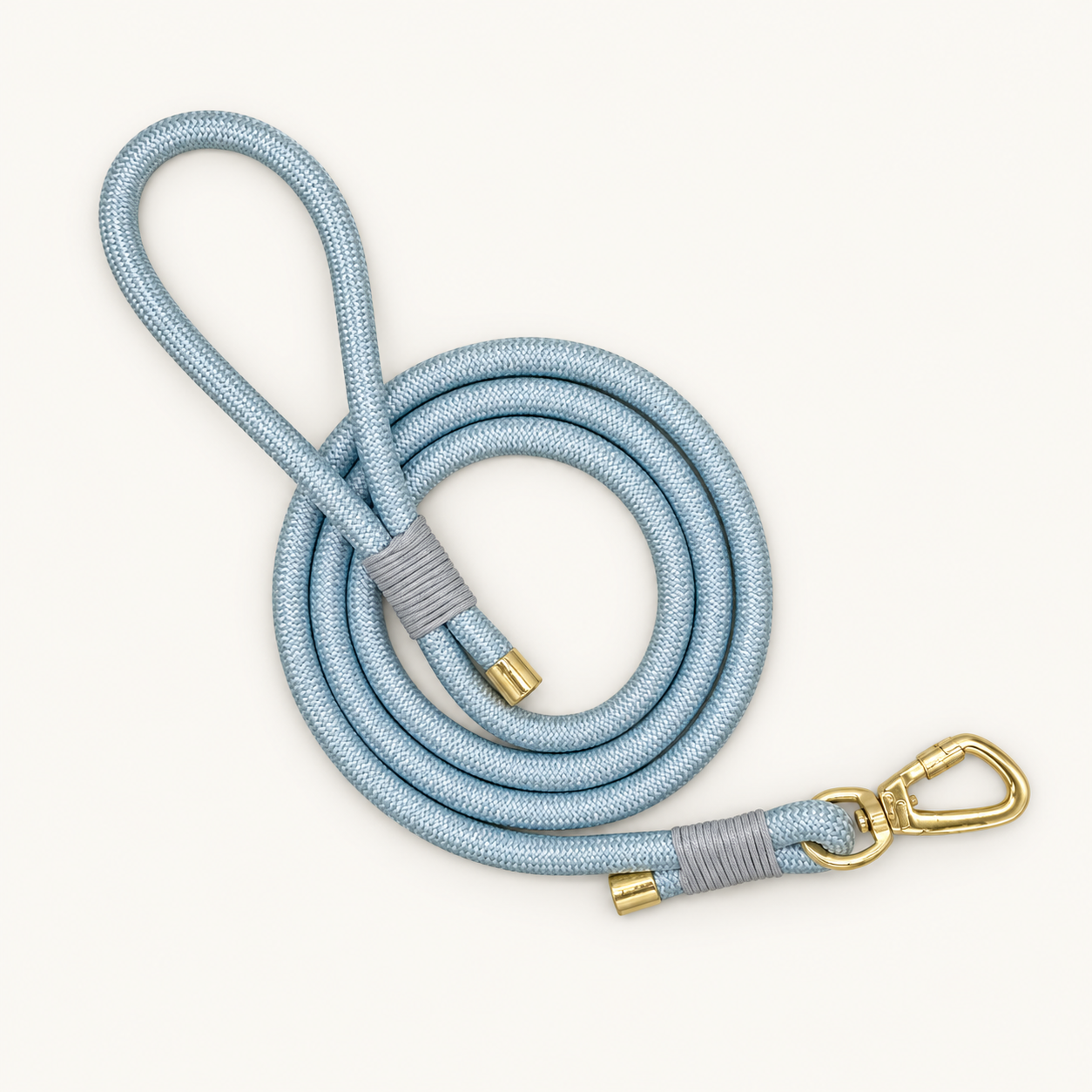 Companion Dog Leash — Seafoam — rope leash with gold-tone clasp