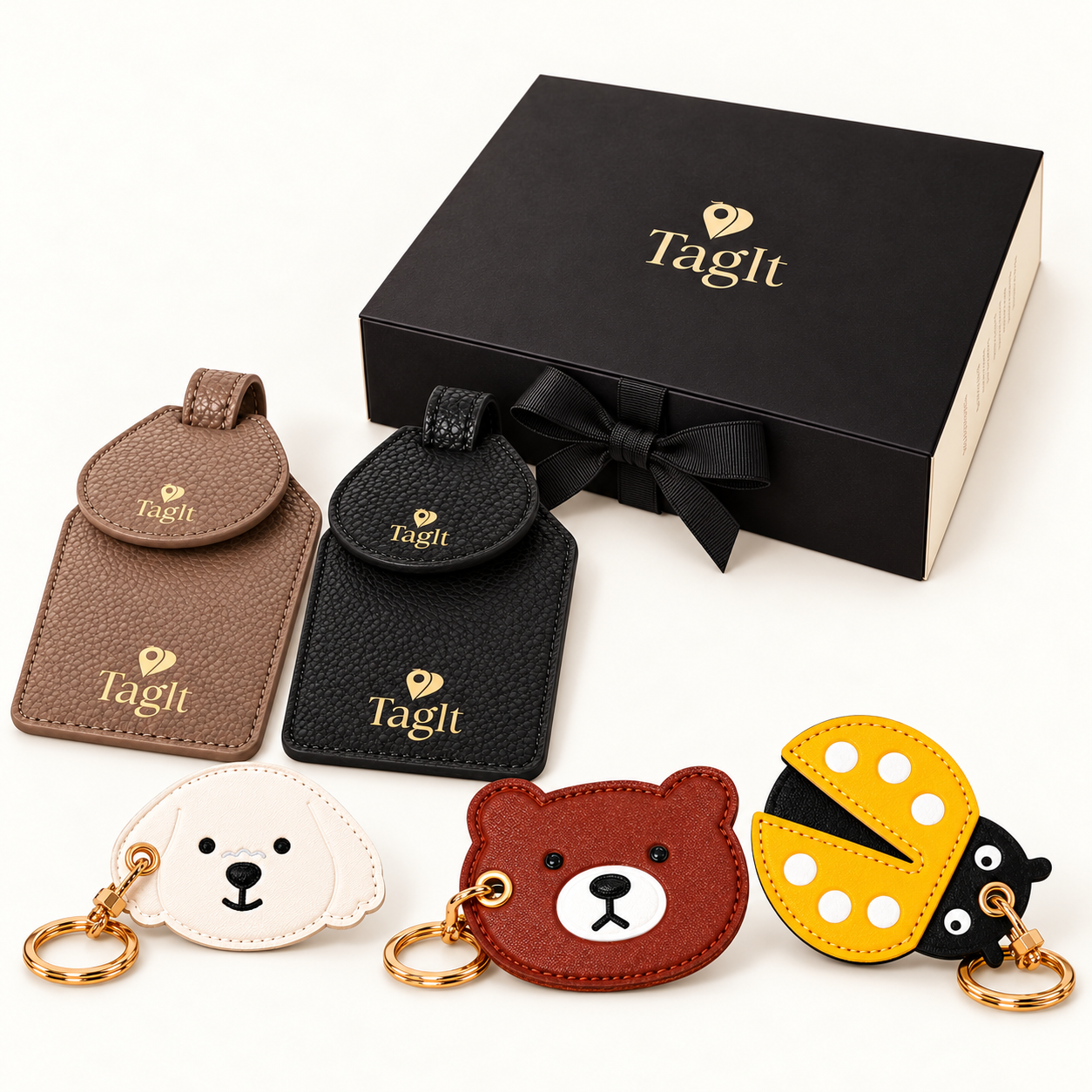 Family Passport Gift Set — complete contents and TagIt gift box — all-groups