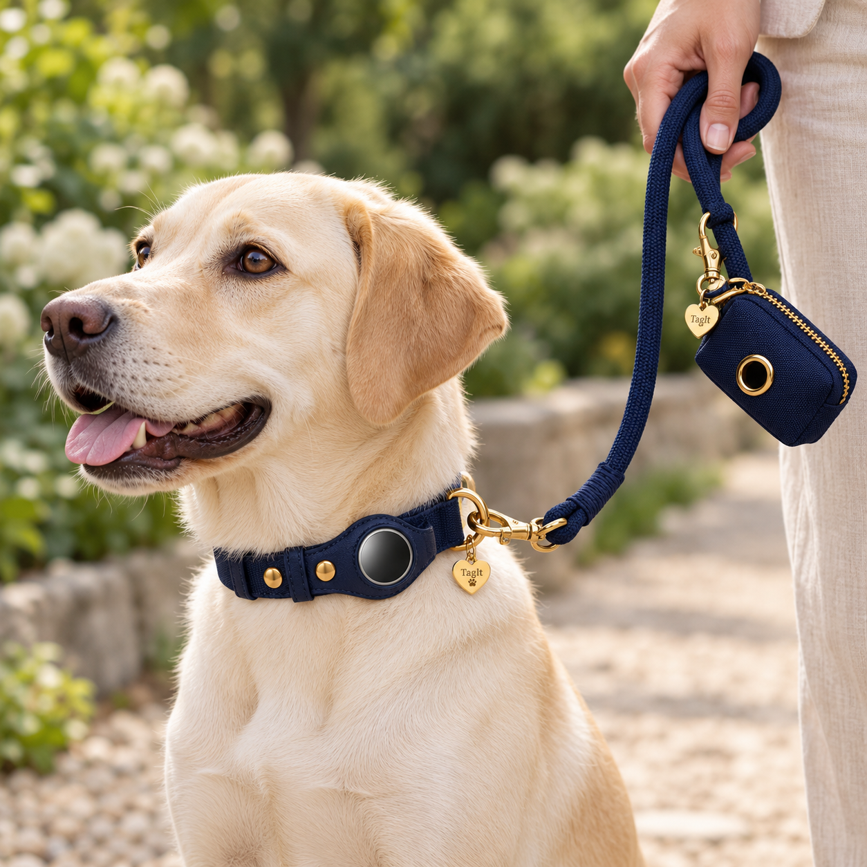 TagIt pet accessory — Deep Navy lifestyle with coordinating collar, leash and holder; other accessories sold separately — all-groups
